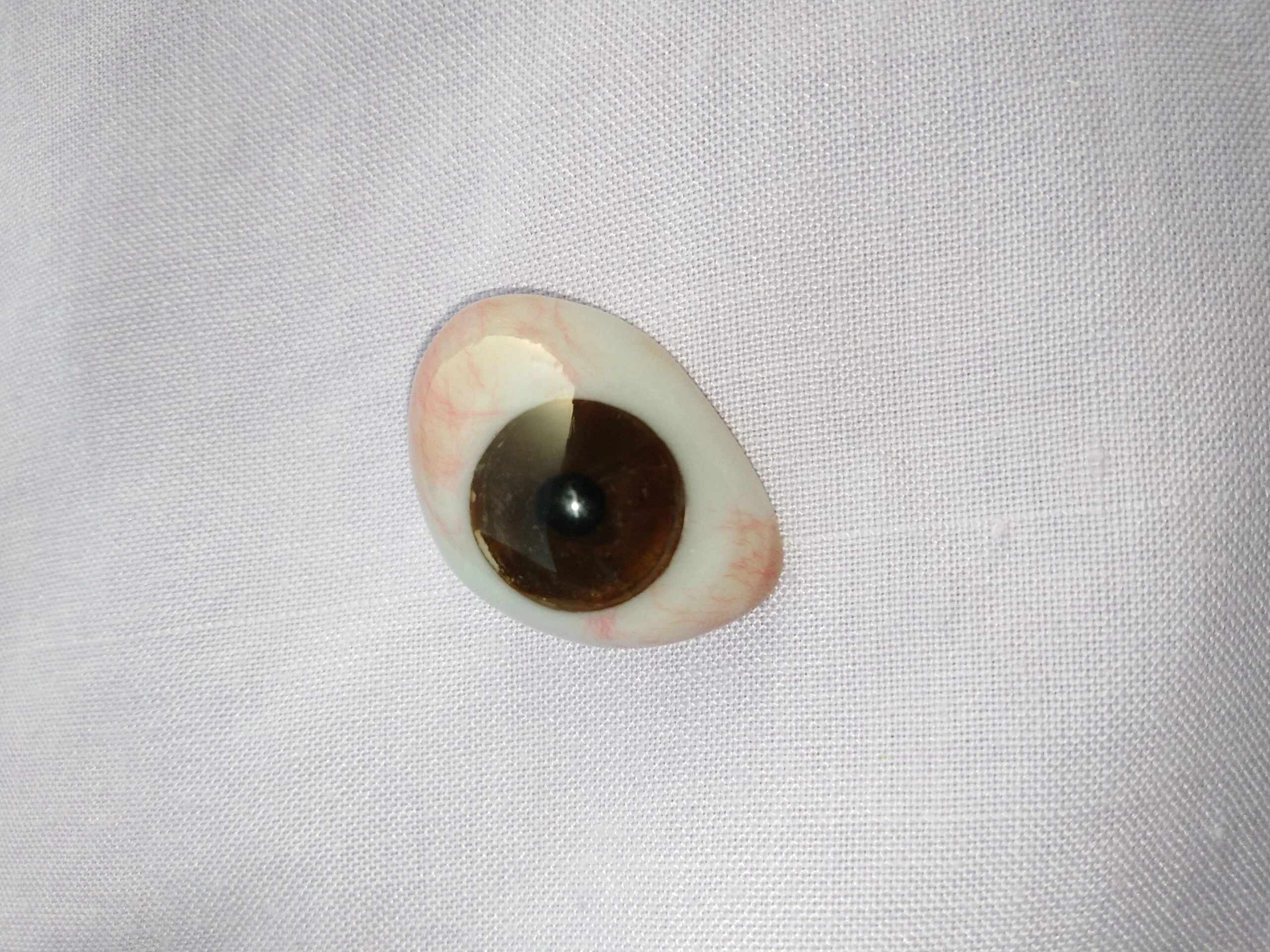 oeil de verre, prothèse oculaire